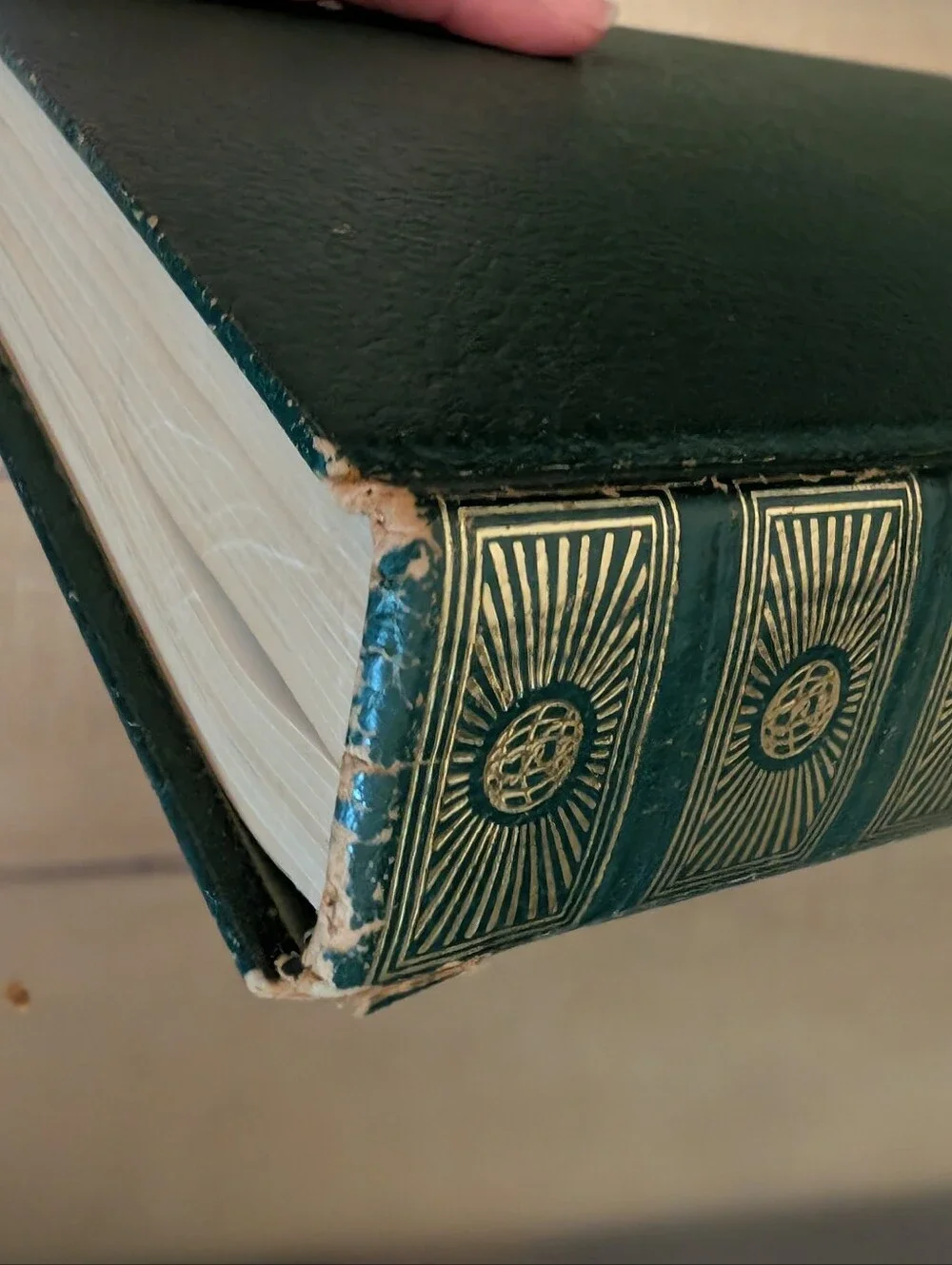 Vintage 1962 Standard Home Library- The Family Cookbook